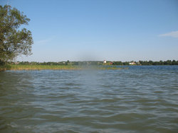 белое.jpg