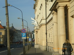 IMGP2445_resize.JPG