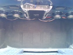 DSC00317.JPG (66.96 КБ) 33024 просмотра вся полка