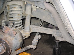 IMG_7954_resize.JPG