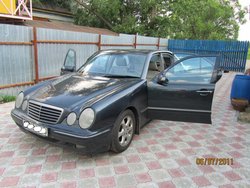 IMG_0490.JPG