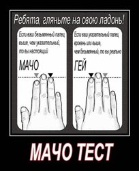 x_8ea48b19.jpg (39.14 КБ) 15667 просмотров x_8ea48b19.jpg