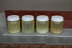 20091220_114833_resize.jpg