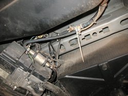 IMG_9704_1.jpg