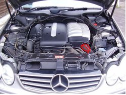2651144.jpg