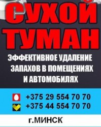 icIGkMSBWi04568.jpg