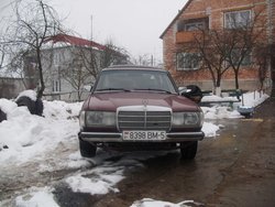 вот он красавец