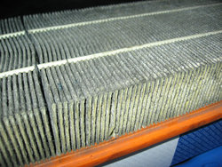 IMG_7896_2.jpg