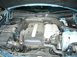 P1050024.jpg